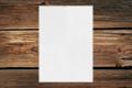 [352600] Papier A4 210x297 mm Metallic Extra White 120 g/qm